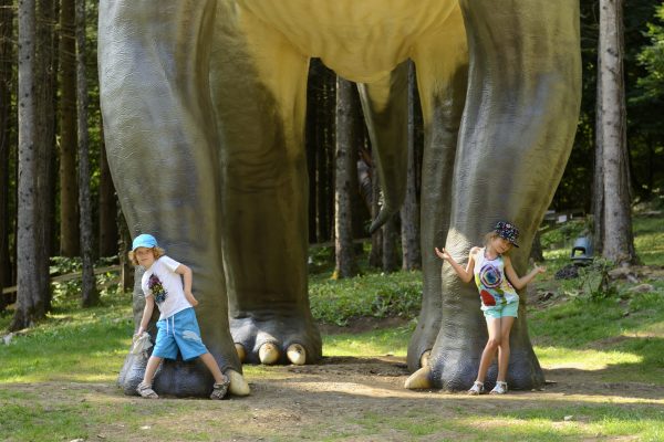 Réouverture du parc Dino-Zoo