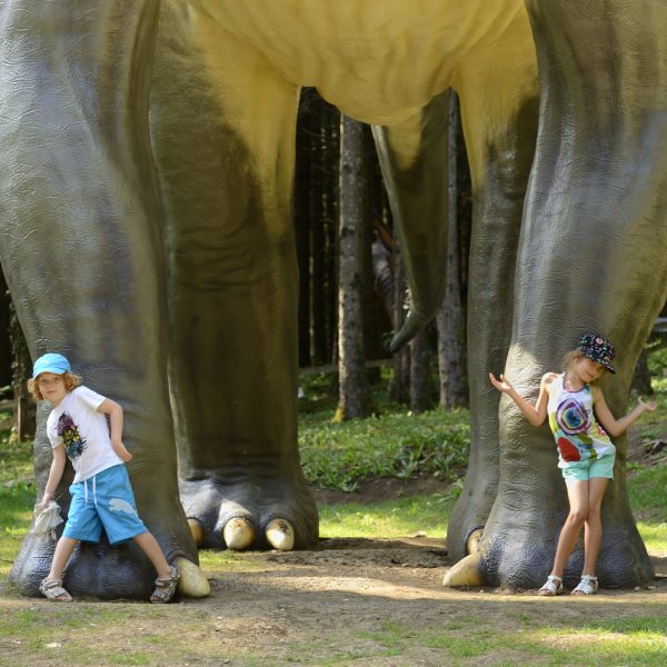 Réouverture du parc Dino-Zoo