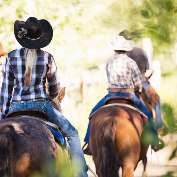 Randonnées équestres