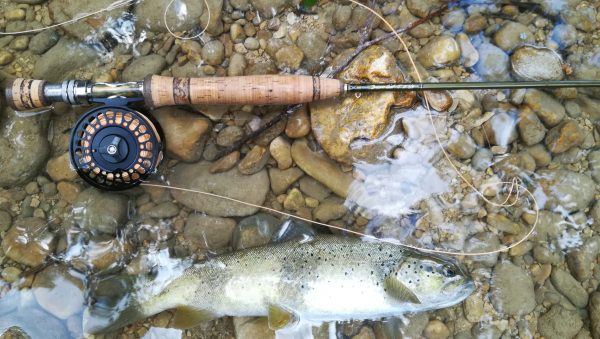 Pêcher pendant le confinement