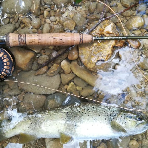 Pêcher pendant le confinement