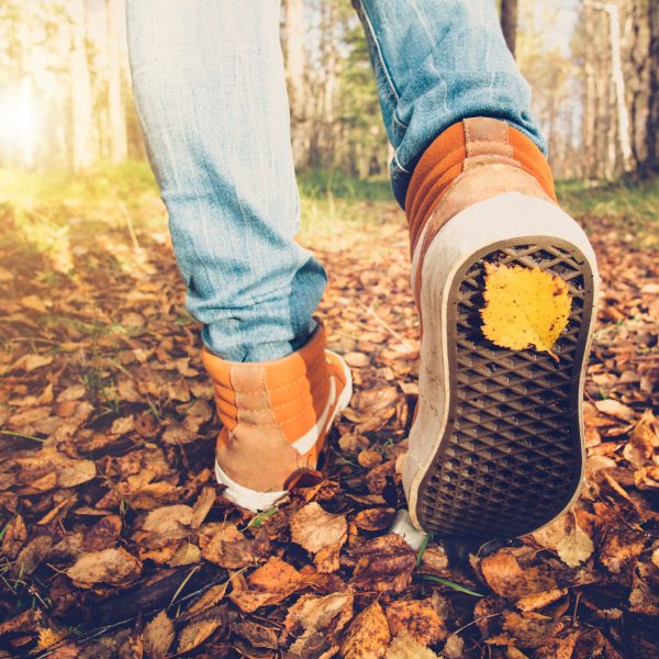 TOP 10 | Nos balades & randonnées aux couleurs d’automne