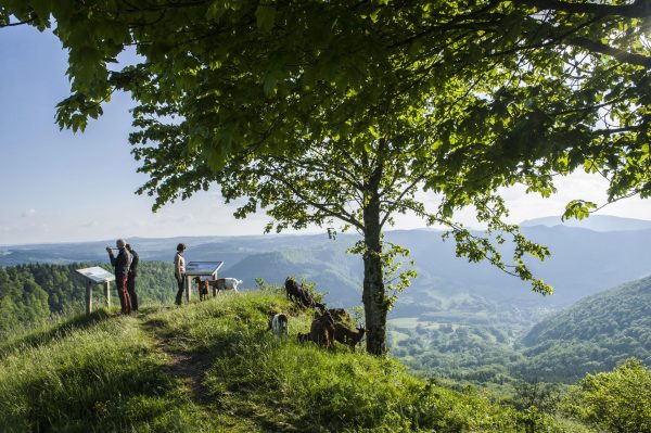 La randonnée vu par “À la conquête de l’Est”