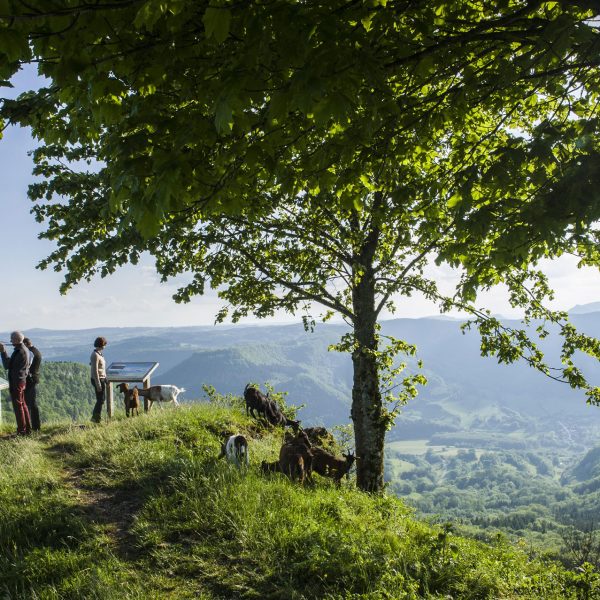 La randonnée vu par “À la conquête de l’Est”
