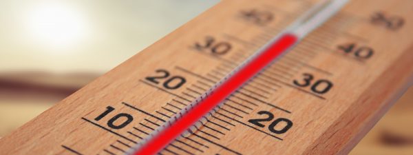 ALERTE CANICULE | 10 Idées rafraîchissantes