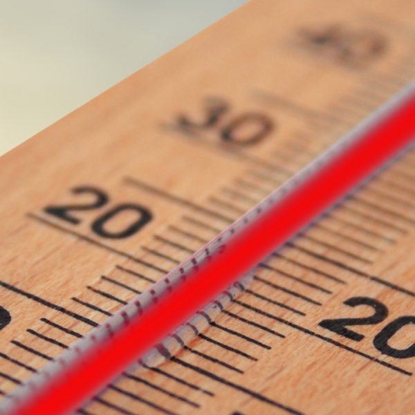 ALERTE CANICULE | 10 Idées rafraîchissantes