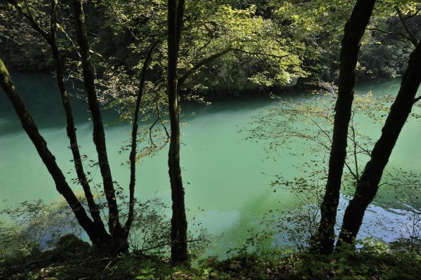 Choisir les vallées de la Loue et du Lison pour un séjour nature et randonnée