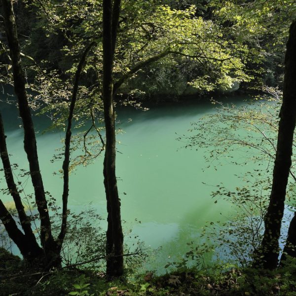 Choisir les vallées de la Loue et du Lison pour un séjour nature et randonnée