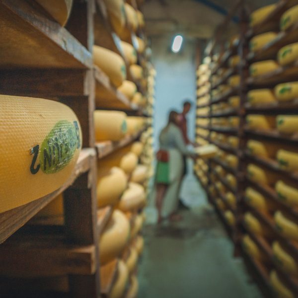 Visites de savoir-faire