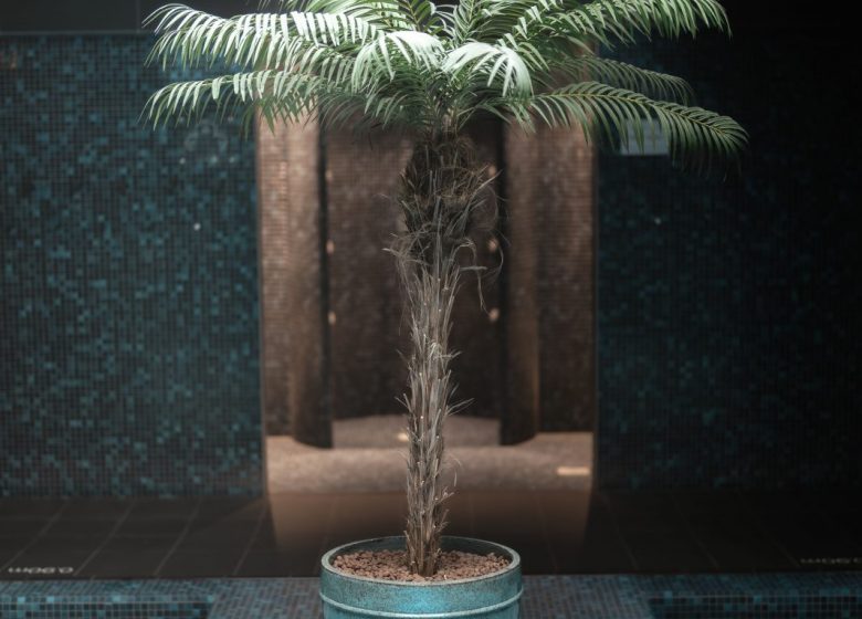 _R4_6211-Enhanced-NR