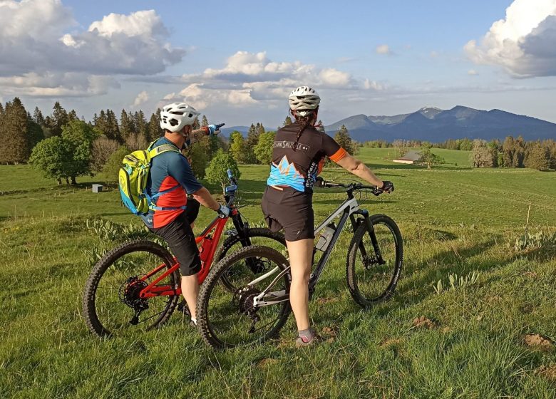 1655053052901-2-scaled-1