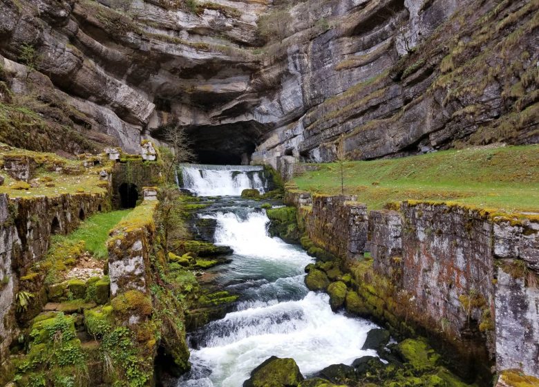 20190429_110915-9ghplymgyep5_1