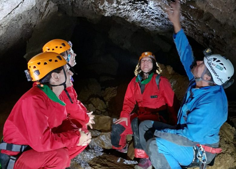 Spéléo Faux Monayeurs