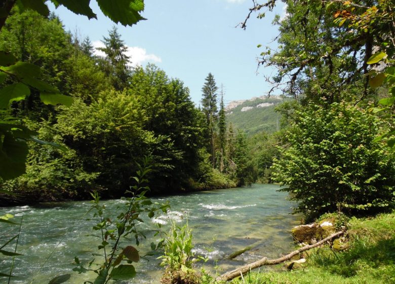 Jeu de piste immersif « Serum PhisalX »