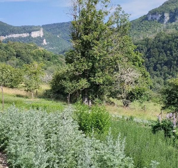 Distillerie Le Loutron Libre