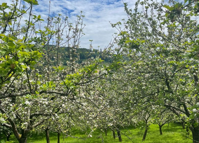 81afb2eb-297e-474e-acf4-80002d361d35