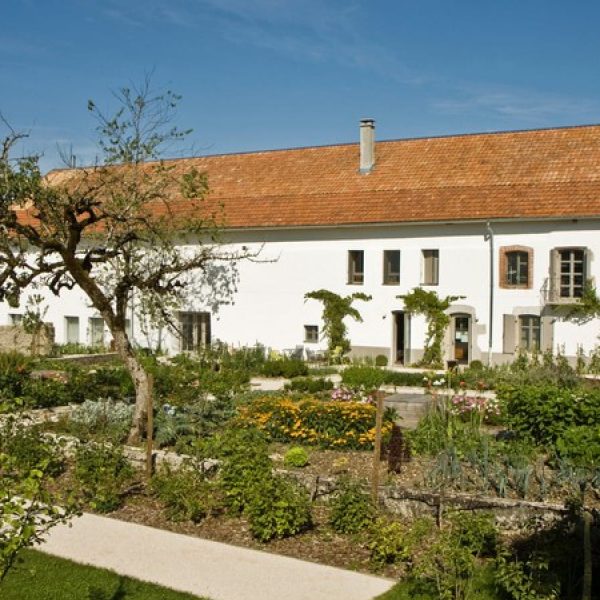 Gustave à bicyclette