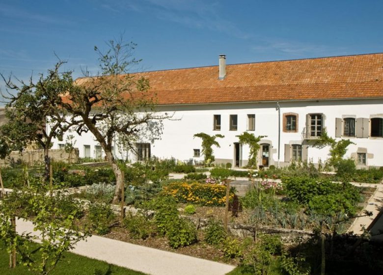 96e3a64b1e976152d189600a04769ab7-345001113-11-4-1600x900_1