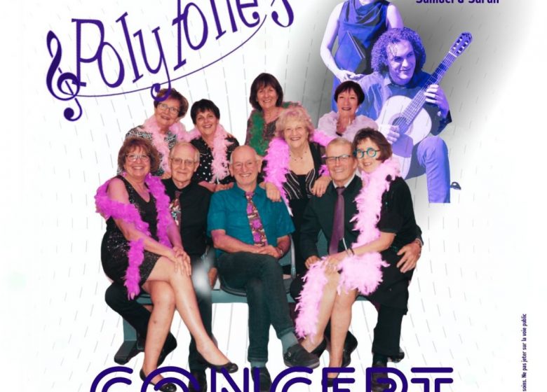 Polyfolies