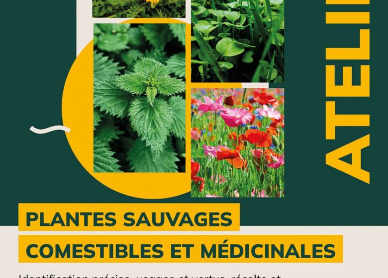 Affiche_atelier_sauvage_17.06