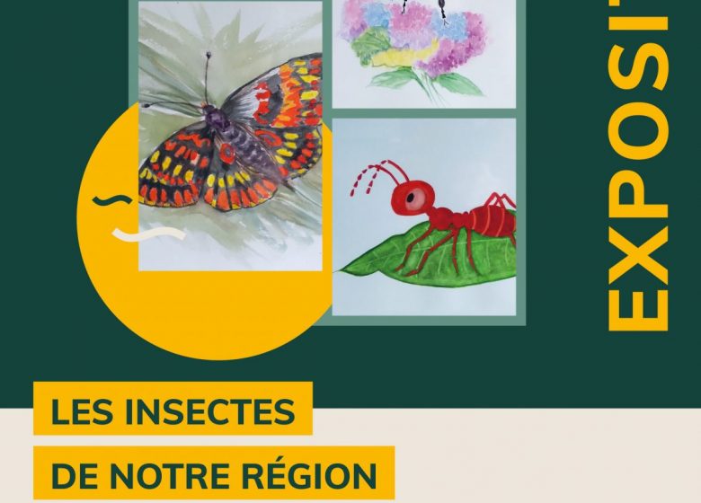 Affiche_mediatheque_Couleurs_O_23.04_12.06