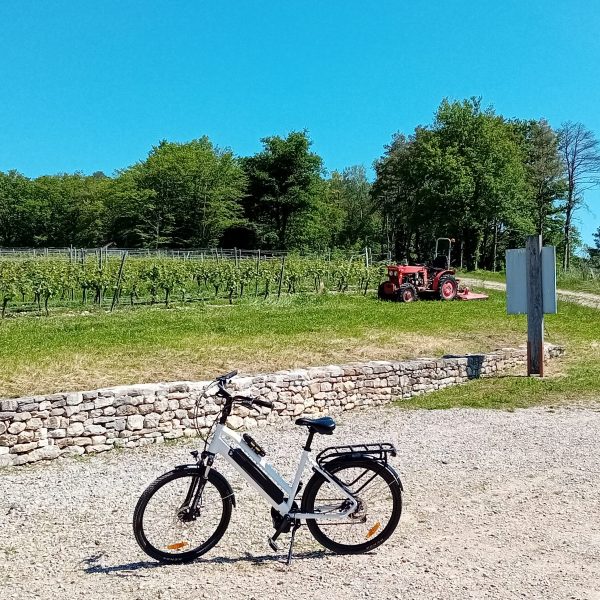 Jeu de pistes à vélo : la Balade Tous « en sel »