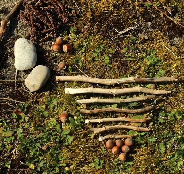 Atelier Land Art en famille