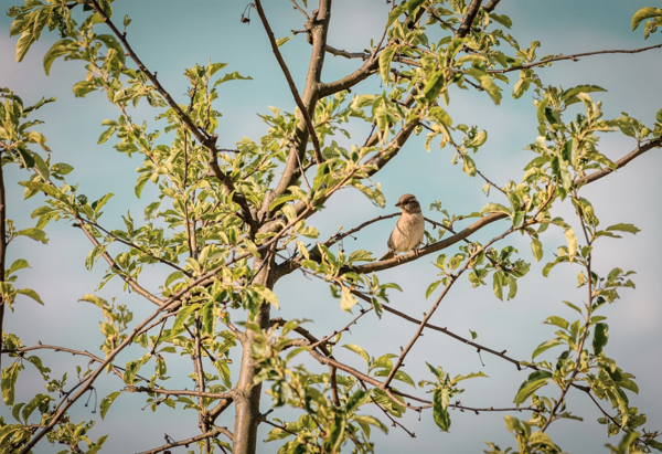 Parcours Espace Naturel Sensible – Saline royale