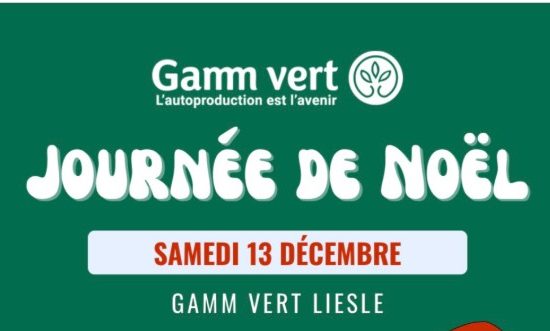 Journée de Noël à Gammvert