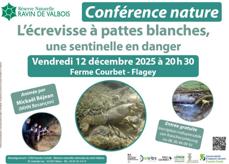 Capture d’écran 2025-12-02 110719