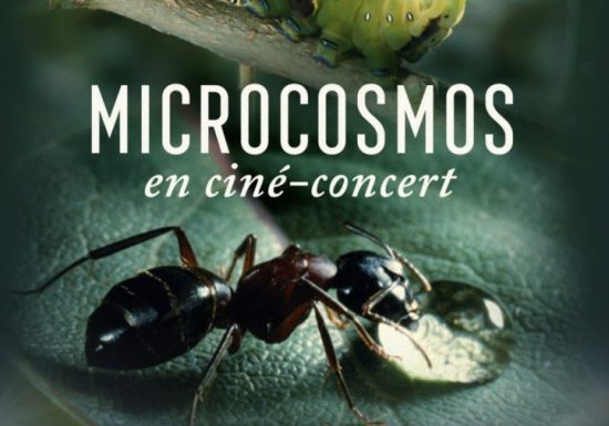 Ciné concert Microcosmos, le peuple de l&rsquo;herbe