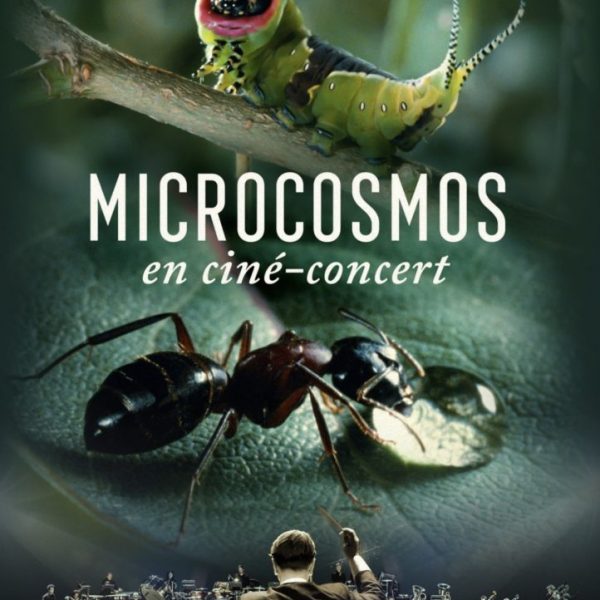 Ciné concert Microcosmos, le peuple de l&rsquo;herbe