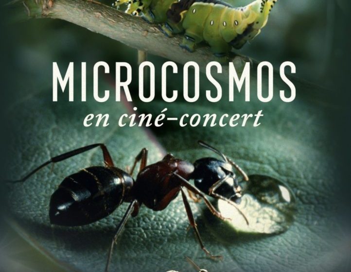 Capture-decran-2026-01-20-a-15.38.54-722×1024