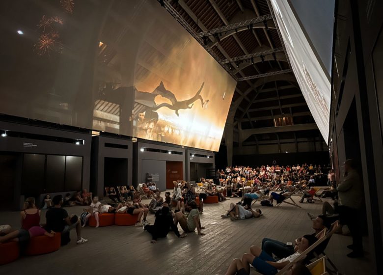 Cine-concert-Nuit-de-la-saline-1024×768