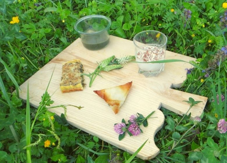 Cueillette et cuisine des plantes sauvages d’été
