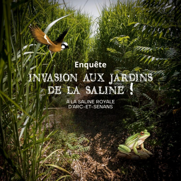 Jeu de piste – Invasion aux jardins de la Saline !