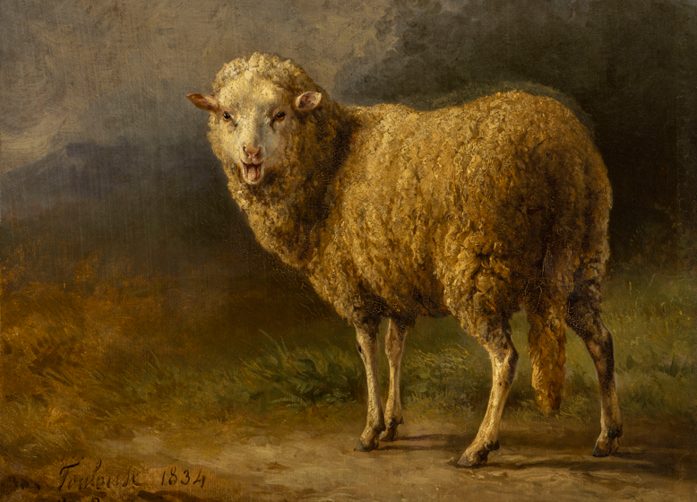 Exposition Réalisme animal