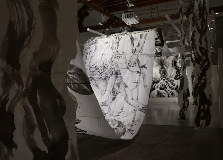 Exposition temporaire | Versatiles résurgences