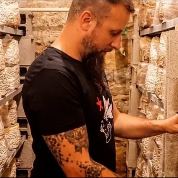 Plongez dans la culture des champignons avec Florian