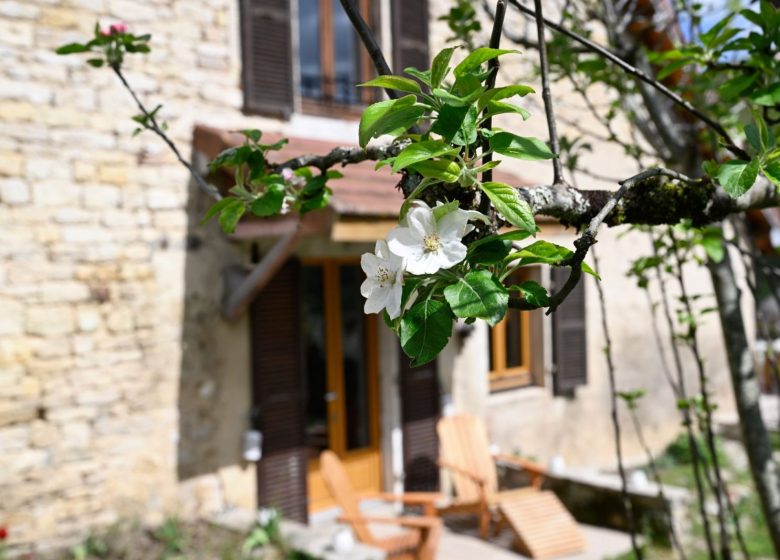 Gîte à l&rsquo;Origine