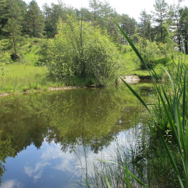 Sentier de la Motte du Château – Montrond-le-Château