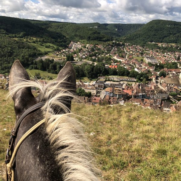 Loue Caval – Éthologie Équitation d&rsquo;extérieur