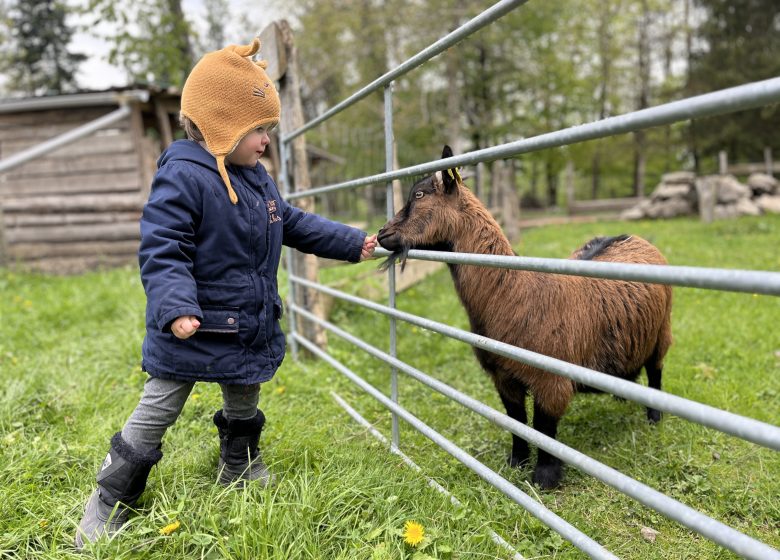 ACTIVITÉ ENFANTS