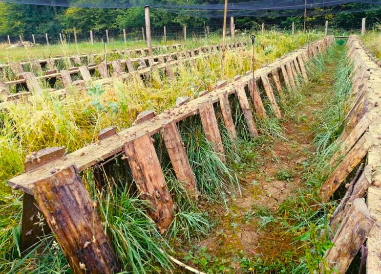 L’Escargot du Lison
