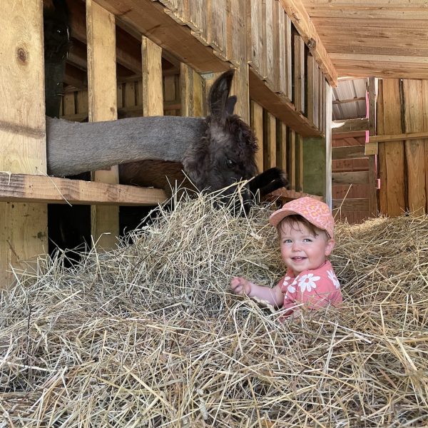 Lama Loisir Mamirolle