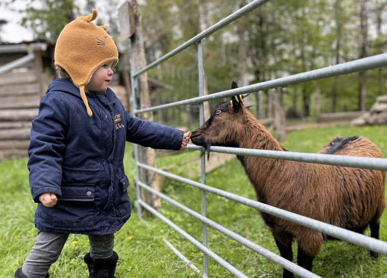 LamaLoisirMamirolle00004