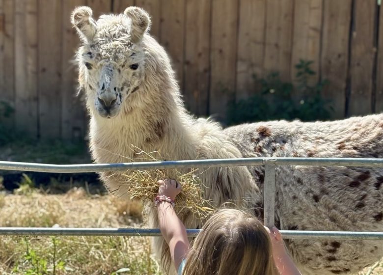 LamaLoisirMamirolle00010