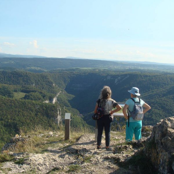 Sortie botanique ENS