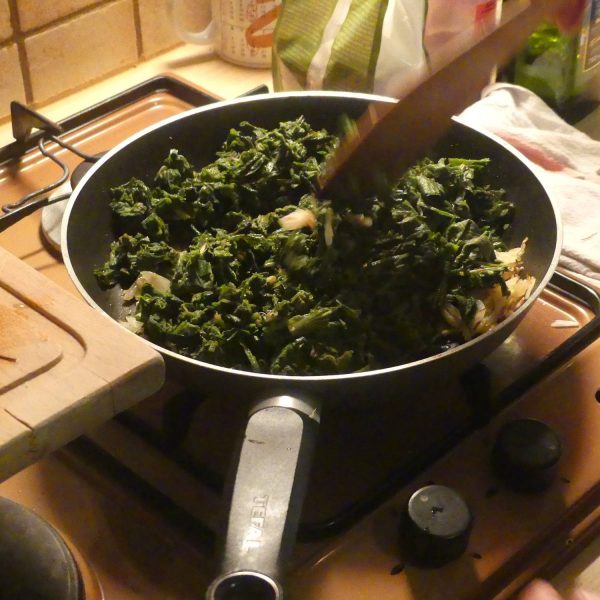 Cuisine sauvage, cueillette et dégustation