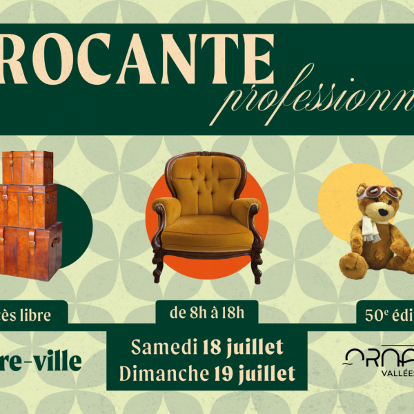 Brocante professionnelle